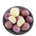 China farm fresh solo garlic